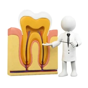 Diagnosis and Consultation
